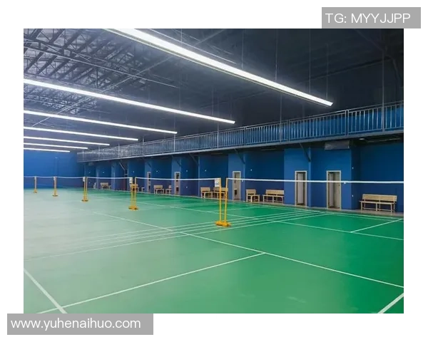 室内足球场改建项目探索提升运动体验与空间利用效率的创新方案