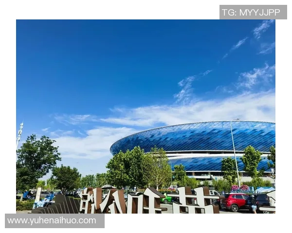 足球篮球店的魅力所在让你在运动中享受激情与乐趣的完美结合